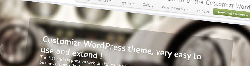 theme customizr wordpress